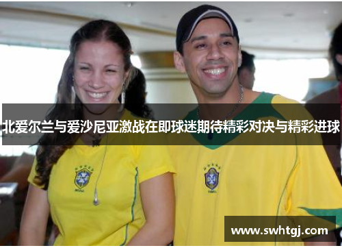 北爱尔兰与爱沙尼亚激战在即球迷期待精彩对决与精彩进球