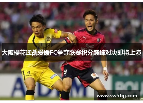 大阪樱花迎战爱媛FC争夺联赛积分巅峰对决即将上演