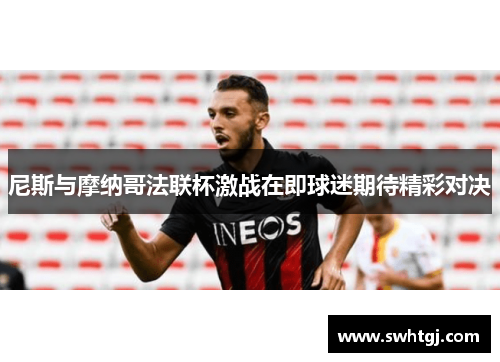 尼斯与摩纳哥法联杯激战在即球迷期待精彩对决